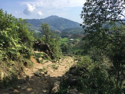 Vietnam: Rutas Ocultas para Ver su Cultura Auténtica en 2024