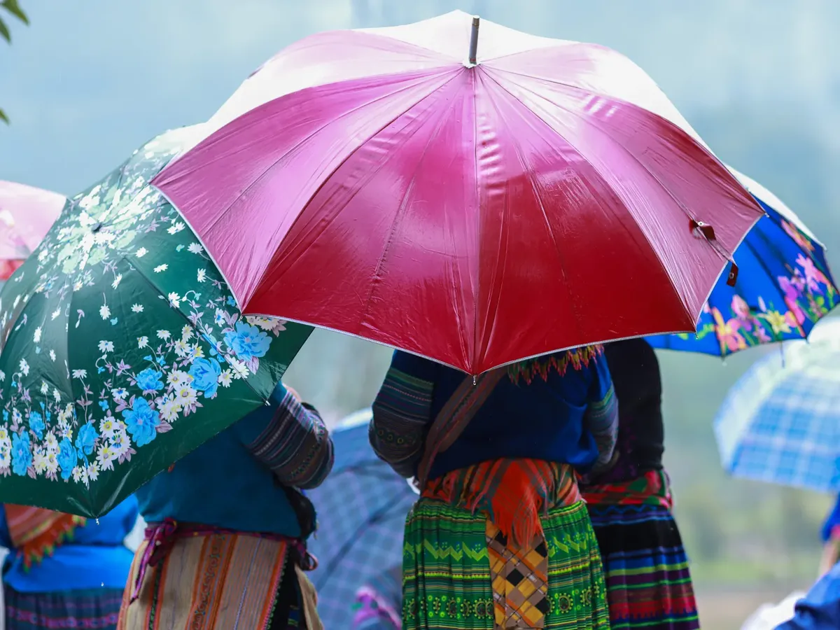 Vibrant umbrellas cover people in traditional attire during a rainy day in Lào Cai, Vietnam.