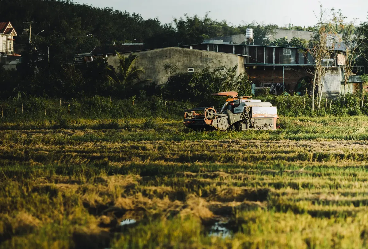 Combine harvester in a rice field during harvest season in Kon Tum, Vietnam.