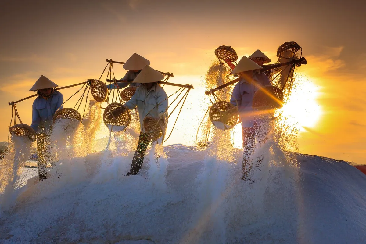 salt, field, province, vietnam, work, sunlight, workers, farm, morning, tradition, labor, harvest, evaporation, salt, salt, salt, salt, salt, vietnam, vietnam,