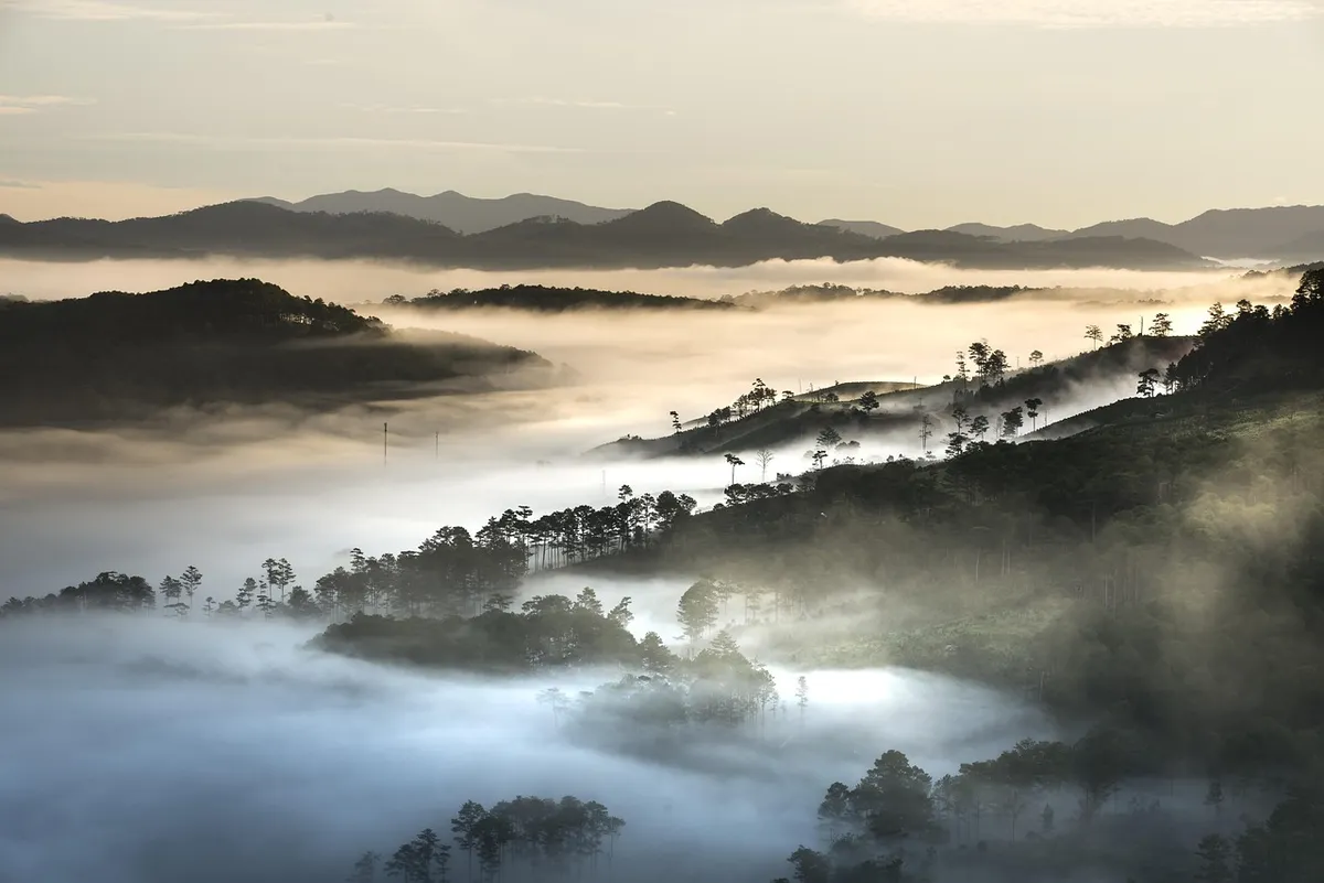 mountains, nature, foggy, vietnam, morning mist, landscape, hills, fog, clouds