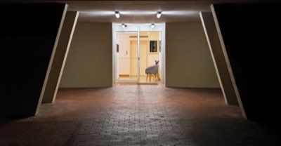 Arquitetura Vietnamita: Tradição e Vidro em Novos Projetos