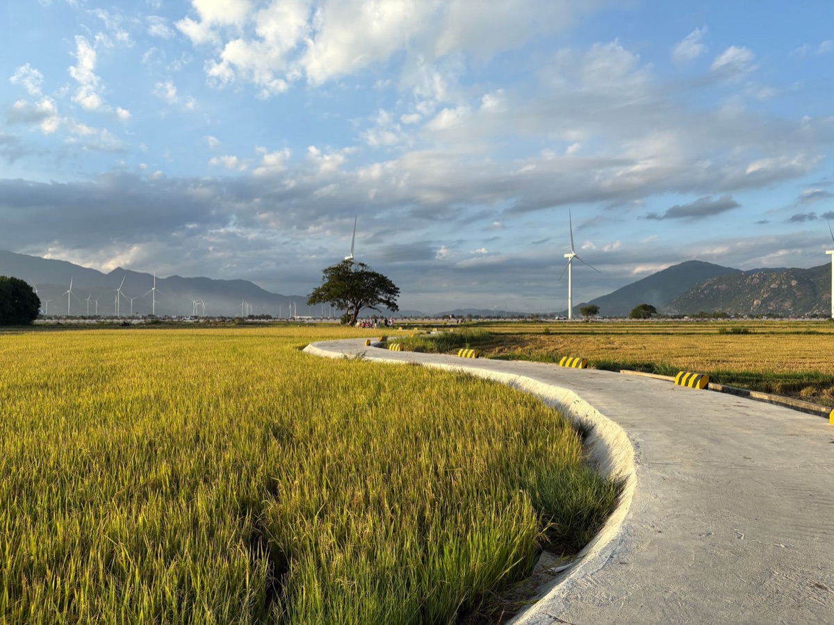 una turbina eolica in vietnam