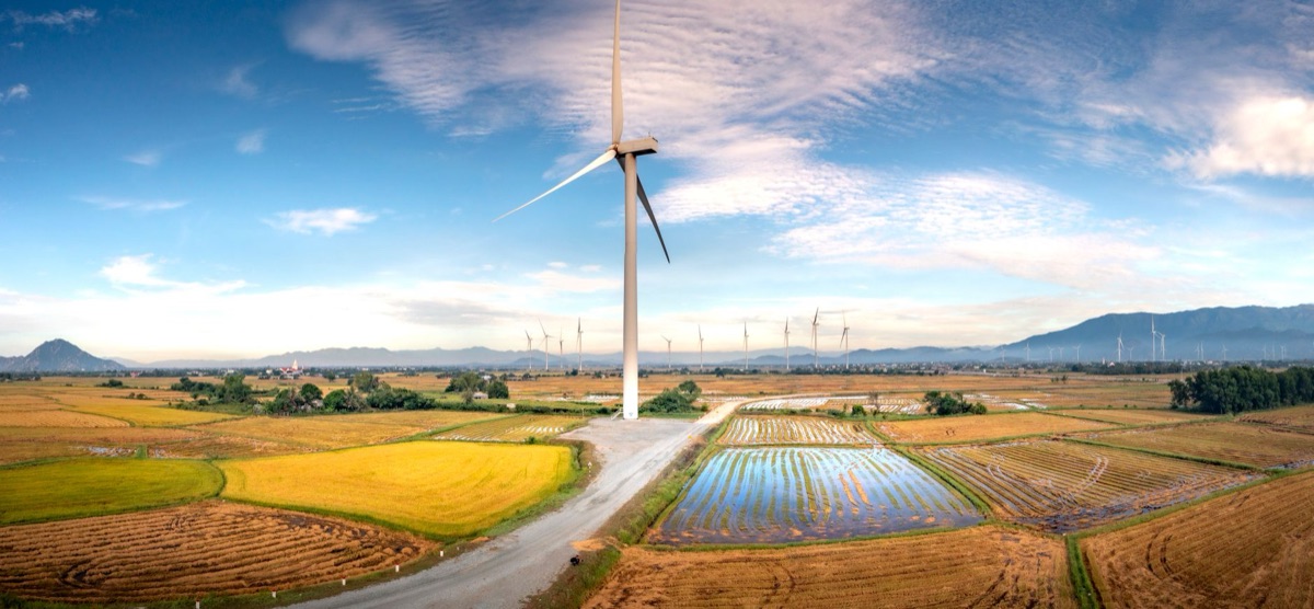 Vietnam Energy Mix Diagram
