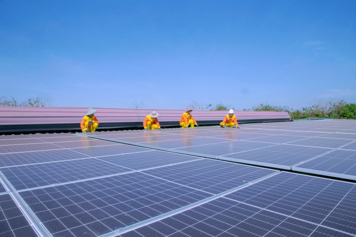Instalação de painéis solares ao lado de um campo de arroz no Delta do Mekong, mostrando a transição energética.